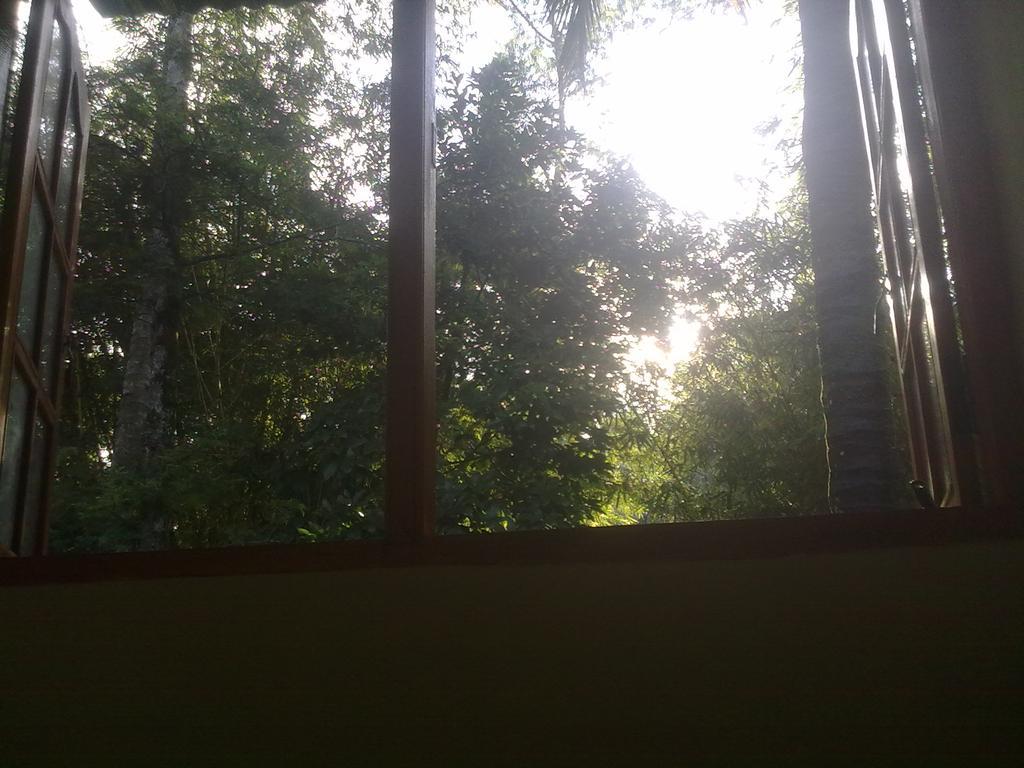 Ask Homestay Елла Номер фото
